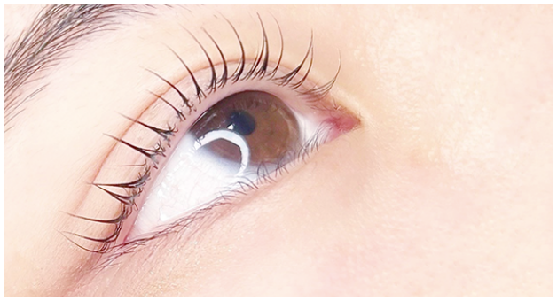 コスメティックラッシュリフト講習のイメージ